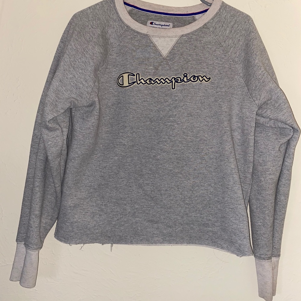 Cropped champion sweater
